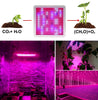 2000W LED Grow Light Full Spectrum UV&IR Chips Phytolamp For Plants Greenhouse Hydroponics Grow Lamp Indoor Plant Flower Seeding