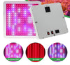 2000W LED Grow Light Full Spectrum UV&IR Chips Phytolamp For Plants Greenhouse Hydroponics Grow Lamp Indoor Plant Flower Seeding