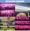 Full Spectrum LED Grow Light Greenhouse Phytolamp LED Plants UV Lamp For Seedlings Flower Seeds Indoor Cultivation Growth Lights