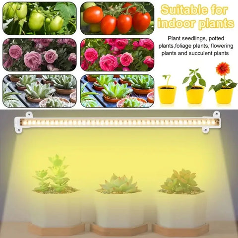 1/2/3/4 LED Grow Light Strips for Indoor Plants USB Full Spectrum Phyto Lamp Dimmable Timer Seedlings Vegs Plant Growing Light