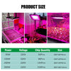 Full Spectrum LED Grow Light Phyto Lamp AC 220V 50W 100W 200W 300W With EU Plug For Greenhouse Hydroponic Plant Growth Lighting