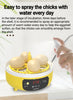 4 Eggs Incubator Mini Egg Hatcher Manual/Automatic Incubation Brooder Automatic Egg Turning Farm Incubation Tools