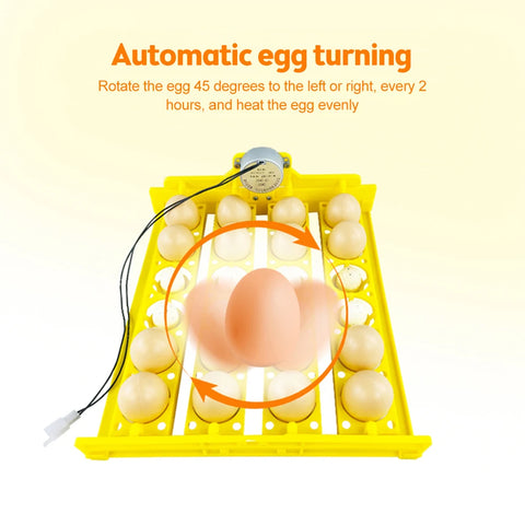 24 Egg Incubator Turn Tray 45 Degree Automatic Turn Egg Multifunction Incubation Equipment Farm Poultry Hatching Tool 110V/220V